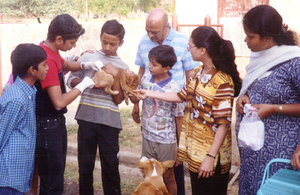 Dog vaccination in India, courtesy of rabiesalliance.org