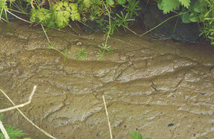 Pollution in a watercourse