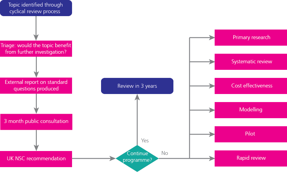 Existing programme flowchart