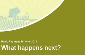 what is the rural payment scheme