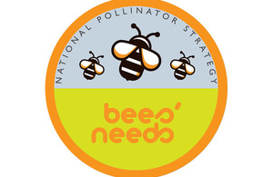 Bees' Needs