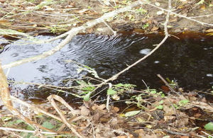 Slurry polluted water in River Yox