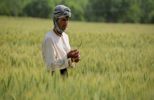 Afghan Farmer