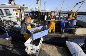 Poole Fisherman