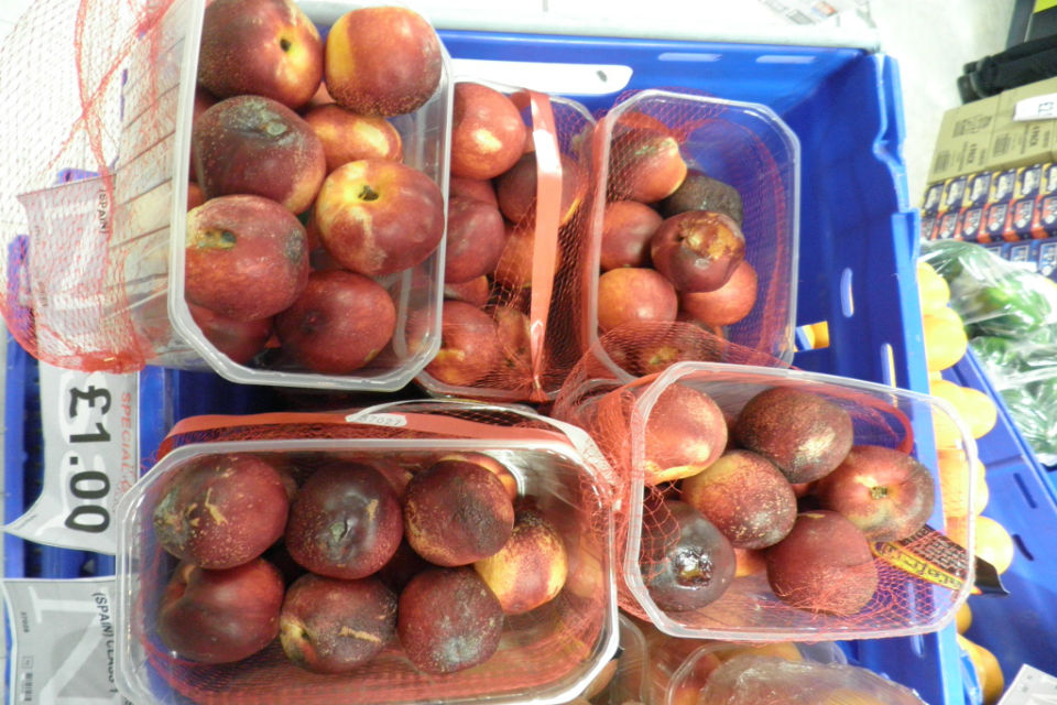 Nectarines