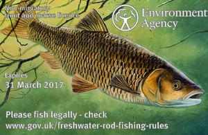 Trout and coarse fishing rod licence