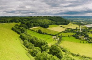 Rural landscape