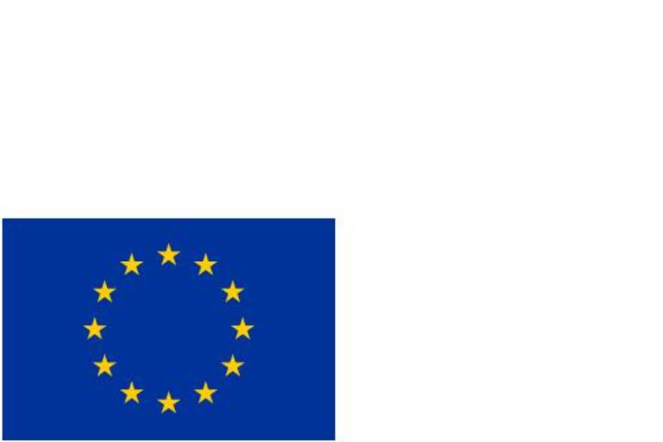 Funded through the PROGRESS Programme of the European Union and the Home Office.