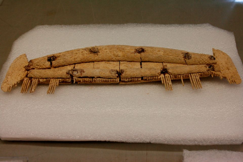 A bone comb found in a grave. MOD Crown Copyright 2016