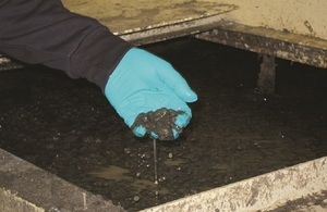 Gloved hand dipping into sludge