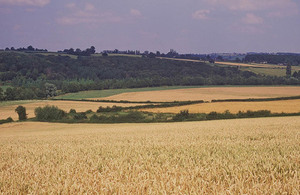 Agricultural landscape