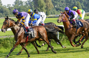 Racehorses