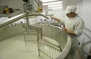 Cheese production