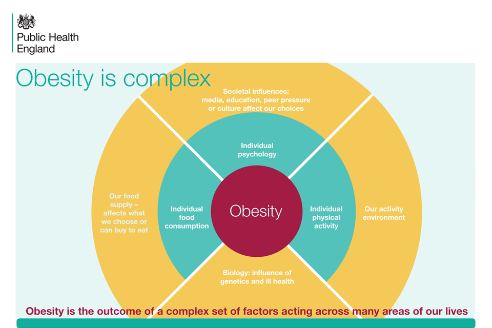 Adult obesity applying All Our Health GOV.UK