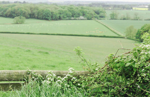 Rural image