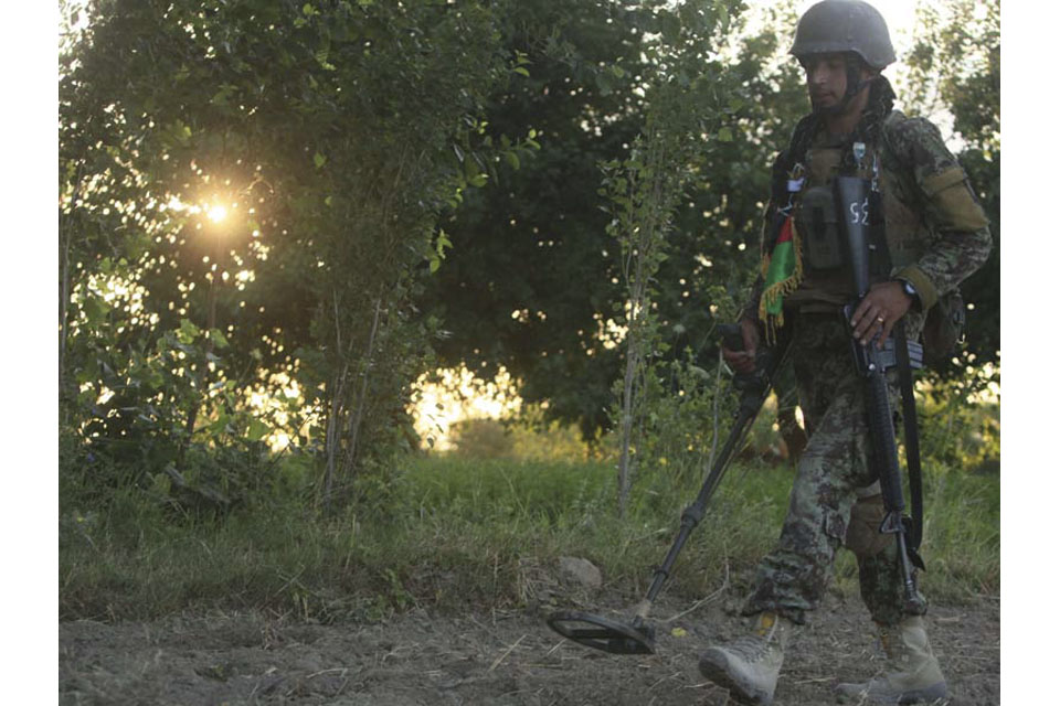 An Afghan warrior sweeps for explosive devices during Operation BIG FISH