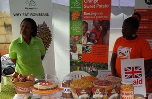 HarvestPlus raising awareness of their biofortified sweet potato, beans and maize at a DFID Uganda exhibition. Picture: HarvestPlus