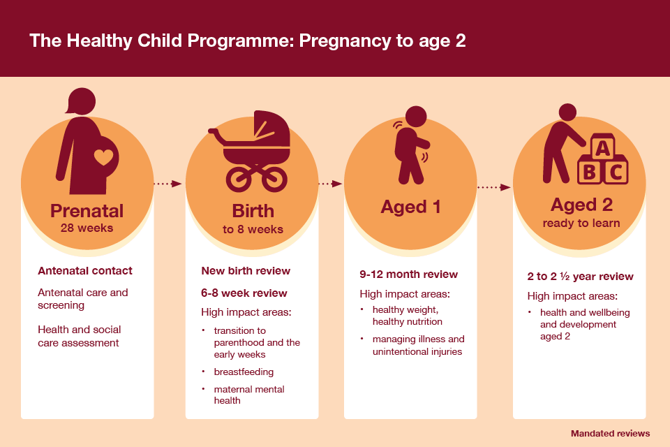 a look at the effects of nutrition during pregnancy to the growth and development of a child a look at the effects of nutrition during pregnancy to the growth and development of a child