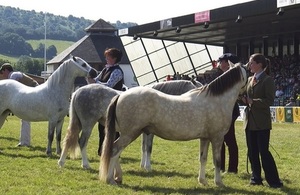 Royal Welsh Show