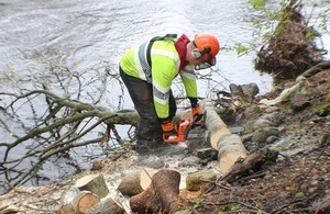 Image shows Environment Agency worker cutting down trees