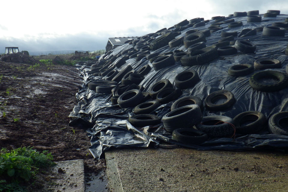 A silage clamp at Huntham Farm made from tarpaulin weighed down by heavy tyres