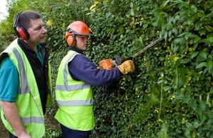 Learners trimming a hedge