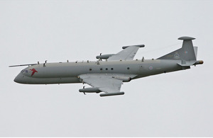 Nimrod R1