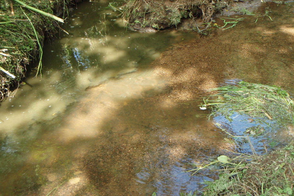Slurry affected the Treesmill Stream, a tributary of the Tywardeath Stream