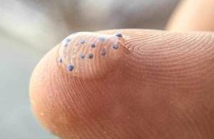 plastic microbeads on the tip of a finger