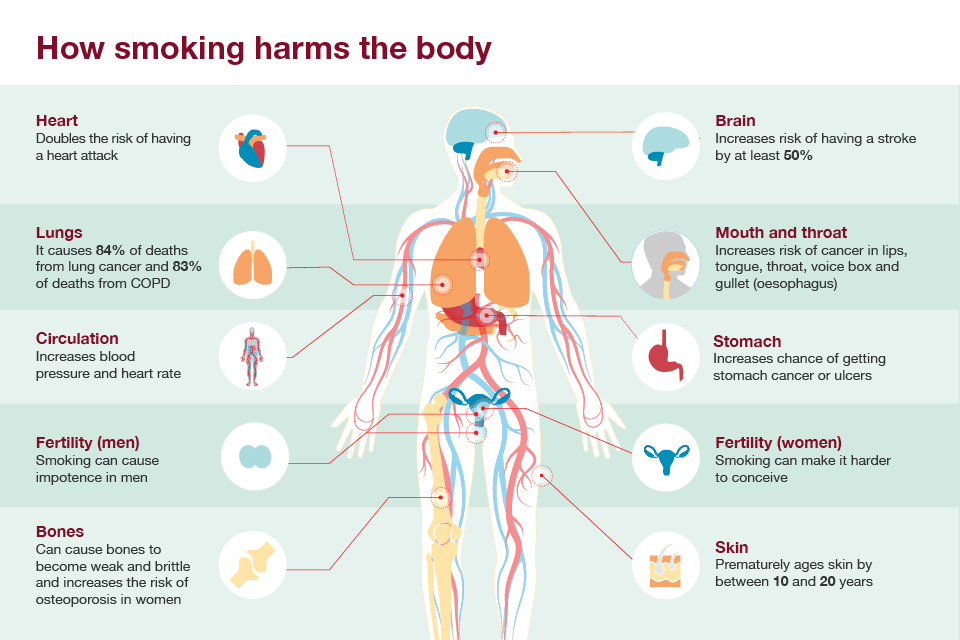 essay on health effects of cigarette smoking