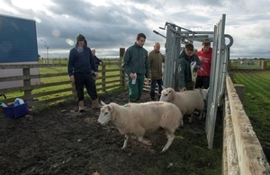 Students at an agricultural college