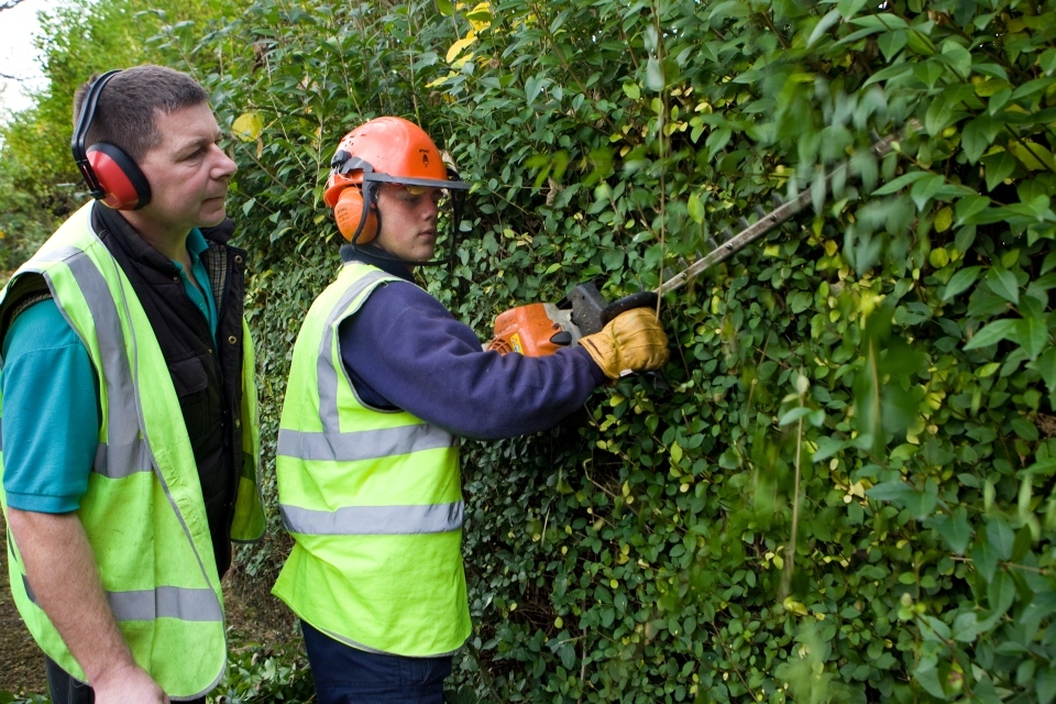 National Apprenticeship Week Gov Uk