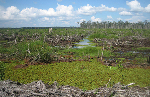 Image of Peatland