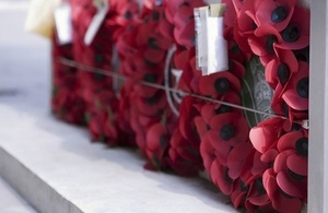 Rememberance Day photo