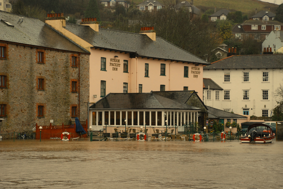 The Steam Packet, Totnes, winter 2008