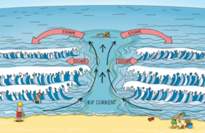 Rip Current