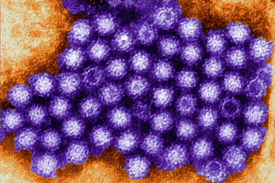 [Withdrawn] Norovirus a nasty but common Winter bug GOV.UK