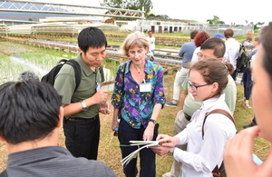 Delegates learning more about ongoing rice research at IRRI