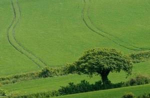 Countryside image