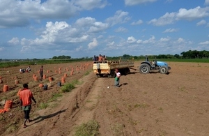 Image of African farmers gathering potatoes and loading them onto a truck.