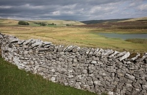 Limestone dry stone wall, Orton Fells, Cumbria