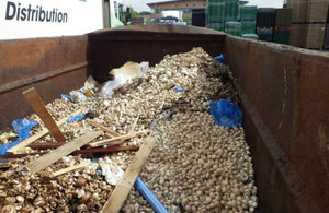 Mushrooms in a skip on the site