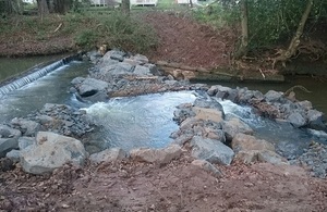 Image shows one of the completed fish passes at South Low