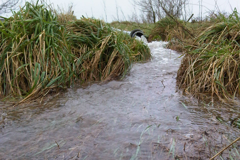 Image of water pouring from a pipe into a bed of reeds