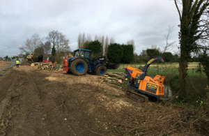 Tree works on the site