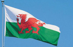 St. David's flag