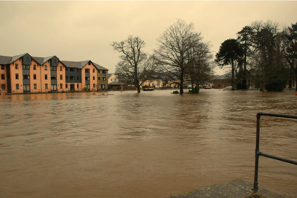 River Dart, Totnes, Devon