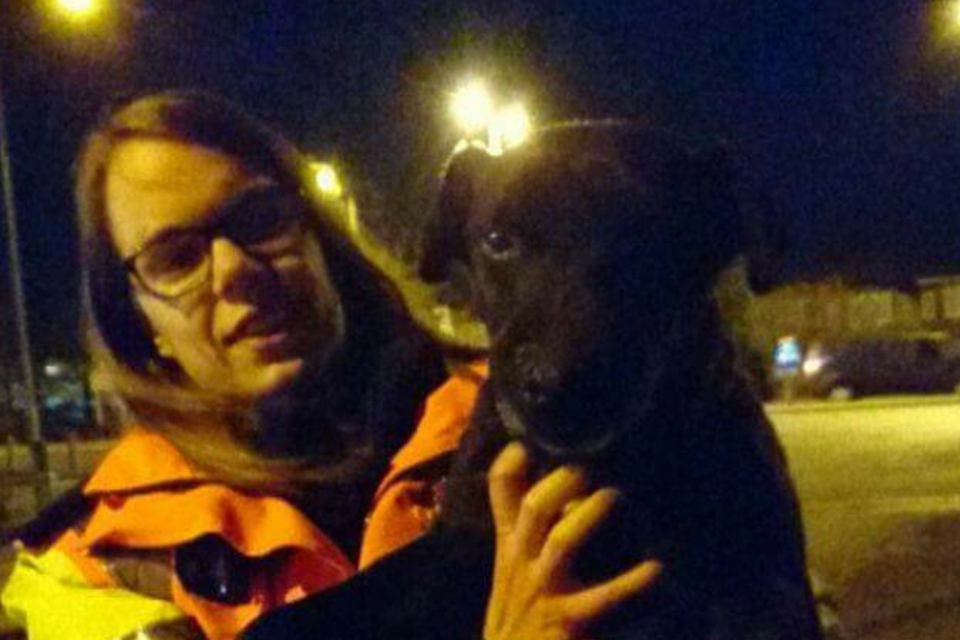 Traffic Officer holding a dog