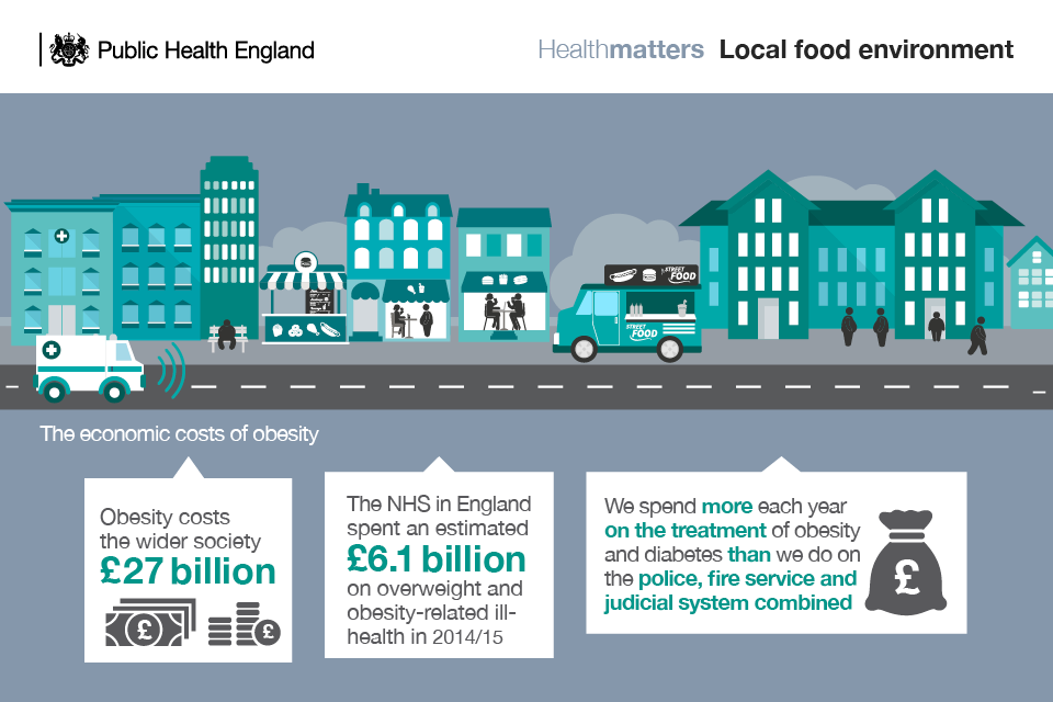 Infographic illustrating the economic costs of obesity