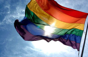 Rainbow flag